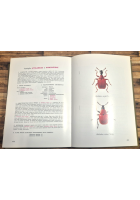GUARDIAMO GLI INSETTI di Pierfranco Blesio 1976 La Scuola Libro Entomologia