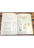 GUARDIAMO GLI INSETTI di Pierfranco Blesio 1976 La Scuola Libro Entomologia