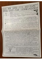 PUZZ normalità della barbarie numero unico 1976 fumetti controcultura alternativ
