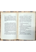 48 GIORNI SUL PACK di Alfredo Viglieri 1929 Mondadori Libro Polo Nord Artico