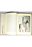 SOMMARIO DELLA STORIA D' ITALIA di Luigi Salvatorelli 1961 Einaudi libro