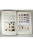MUSEO CIVICO DI CONVERSANO la sezione archeologica di Vito L'Abbate 1990 libro