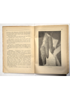 ECONOMIA DOMESTICA Volume 3 di Teresita Galimberti per la scuola media Libro