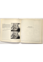 L'ELETTRICO UNIVERSO DELLA SPERIMENTAZIONE di Thanassis Rentzis Capone Libro