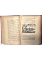 I MAMMIFERI di Luigi Figuier 1892 Fratelli Treves Editori Libro illustrato