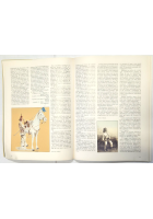 ASCARI EPOPEA DIMENTICATA di Giuseppe Cucchi 1990 Rivista Militare Libro