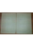 L'ILLUSTRAZIONE ITALIANA ANNO VIII n. 24 12 giugno 1881 Modena Pontieri Tevere