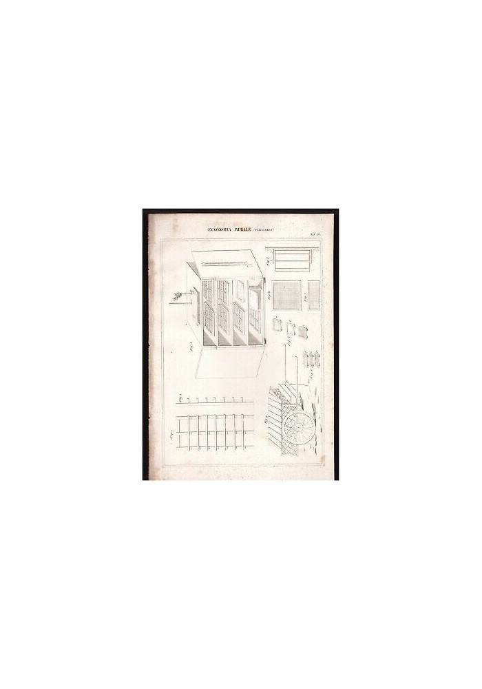 ECONOMIA RURALE Filugello tavola III INCISIONE STAMPA 1866 disegno antica