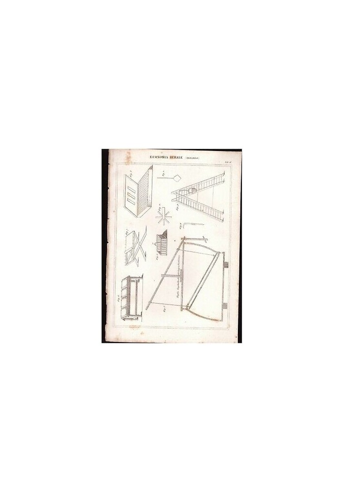 ECONOMIA RURALE Filugello tavola IV INCISIONE STAMPA antica 1866 disegno