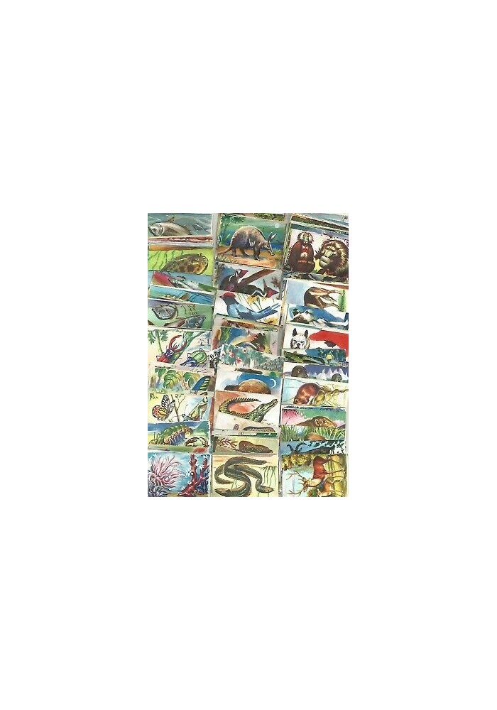 136 FIGURINE ANIMALI LAMPO 1952 DIFFERENTI da recupero