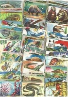 136 FIGURINE ANIMALI LAMPO 1952 DIFFERENTI da recupero