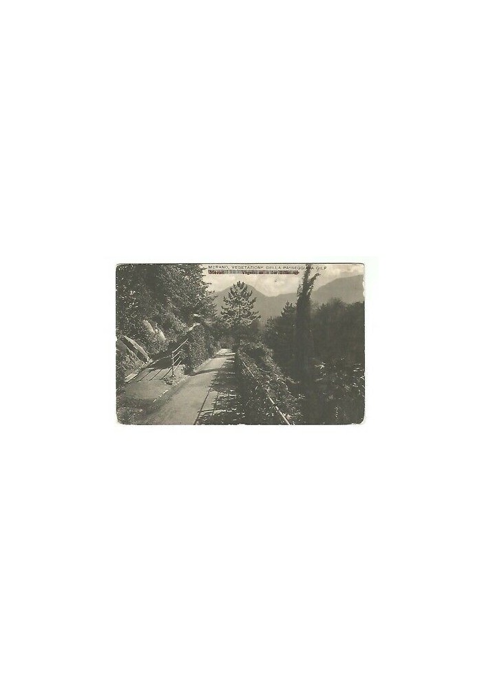CARTOLINA Merano vegetazione della passeggiata gilf - non viaggiata 1925
