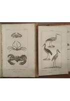 LO SPIRITO DELLA STORIA NATURALE di BUFFON 6 Volumi Completo 1834 - 39 Antonelli