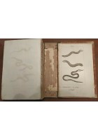 LO SPIRITO DELLA STORIA NATURALE di BUFFON 6 Volumi Completo 1834 - 39 Antonelli