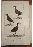 LO SPIRITO DELLA STORIA NATURALE di BUFFON 6 Volumi Completo 1834 - 39 Antonelli