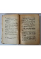 IL POSTO NEL MONDO di Virgilio Brocchi 1921 Mondadori romanzo