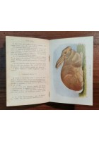 CONIGLICOLTURA PRATICA di Giuseppe Licciardelli - Manuali Hoepli 1911 IV edizione