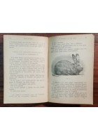 CONIGLICOLTURA PRATICA di Giuseppe Licciardelli - Manuali Hoepli 1911 IV edizione