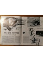 SKYLINE february 1953 Rivista aerei in lingua inglese Volume 11 Number 1 plane