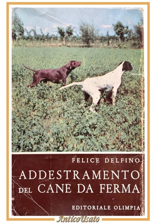 ADDESTRAMENTO DEL CANE DA FERMA di Felice Delfino 1963 Olimpia libro caccia