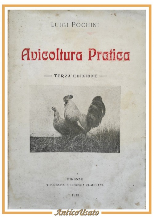 AVICOLTURA PRATICA di Luigi Pochini 1913 Claudiana libro manuale polli galline