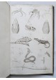 CATECHISMO DI ZOOLOGIA Achille Costa 1843 Trombetta Libro antico