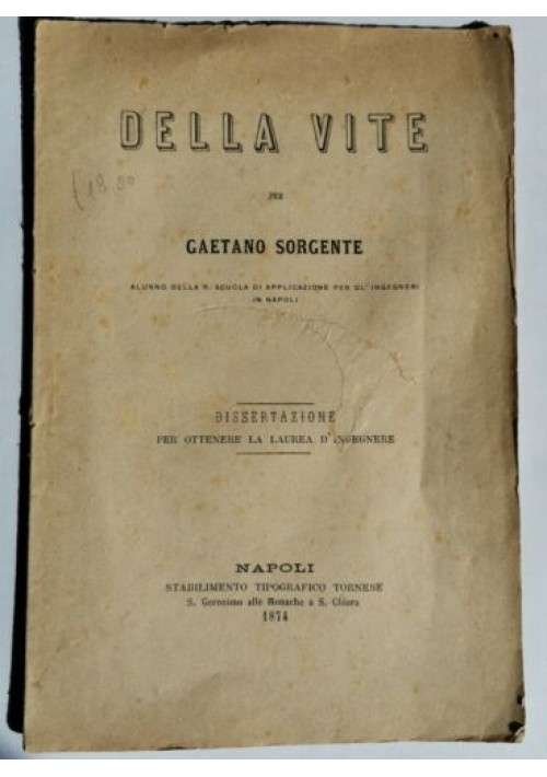 DELLA VITE di Gaetano Sorgente tesi di lauera in ingegneria del 1874 Napoli