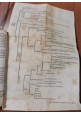 GEMMARUM ET LAPIDUM HISTORIA di Anselmus Boetius De Boot 1647 Libro antico gemme