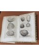 GEMMARUM ET LAPIDUM HISTORIA di Anselmus Boetius De Boot 1647 Libro antico gemme