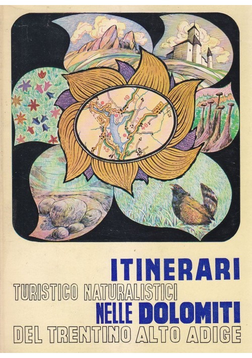 ITINERARI TURISTICO NATURALISTICI DOLOMITI TRENTINO ALTO ADIGE 1967 con mappa