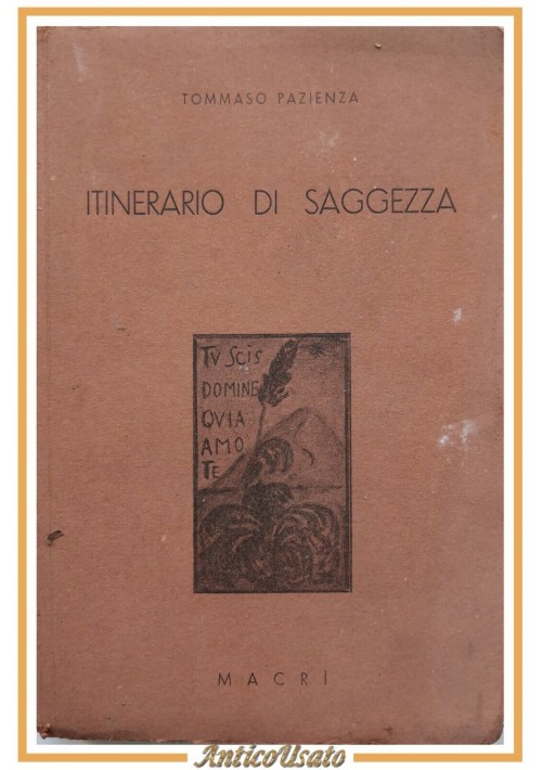 ITINERARIO DI SAGGEZZA Tommaso Pazienza 1938 Luigi Macri Libro