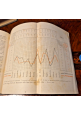 LA PROSTITUZIONE saggio di statistica morale di Tammeo 1890 Roux Libro antico