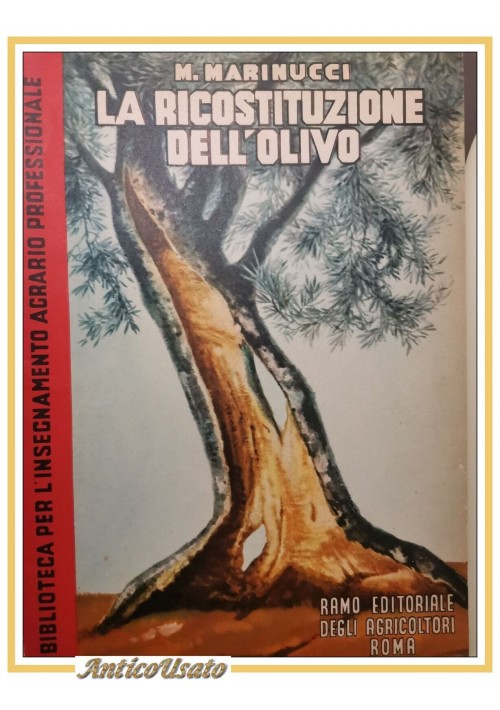 ESAURITO - LA RICOSTITUZIONE DELL'OLIVO di Marinucci 1951 Ramo Editoriale Agricoltori libro