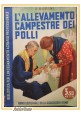 esaurito - L'ALLEVAMENTO CAMPESTRE DEI POLLI di Borini 1941 libro illustrato sull