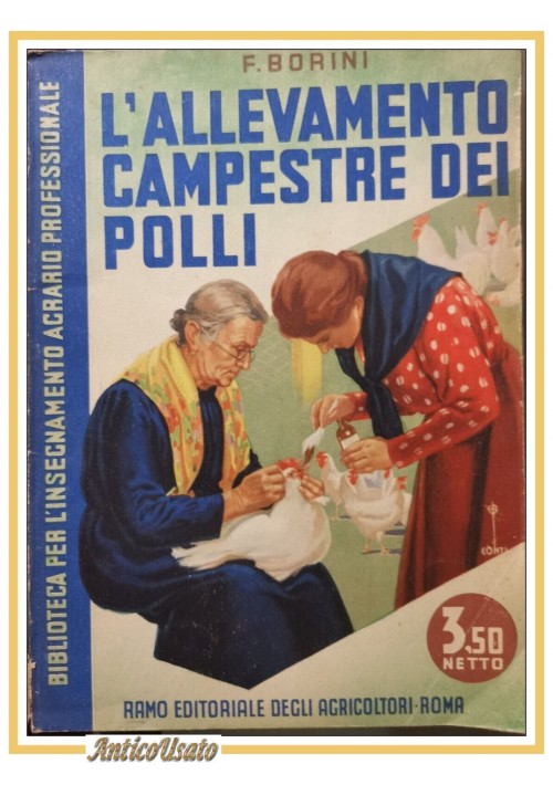 esaurito - L'ALLEVAMENTO CAMPESTRE DEI POLLI di Borini 1941 libro illustrato sull