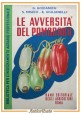 LE AVVERSITÀ DEL POMODORO di Goidanich Foschi Giulianelli 1953 Libro manuale