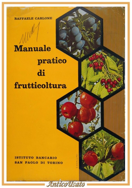 MANUALE PRATICO DI FRUTTICOLTURA Raffaele Carlone 1964 Istituto San Paolo Libro