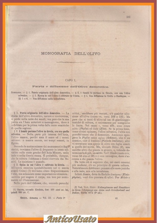 MONOGRAFIA DELL OLIVO di Girolamo Caruso 1882 estratto