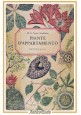 PIANTE D'APPARTAMENTO di Peyrot Maddalena 1965 SAIE Libro illustrato