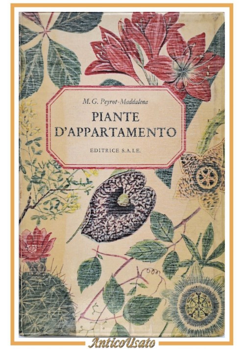 PIANTE D'APPARTAMENTO di Peyrot Maddalena 1965 SAIE Libro illustrato