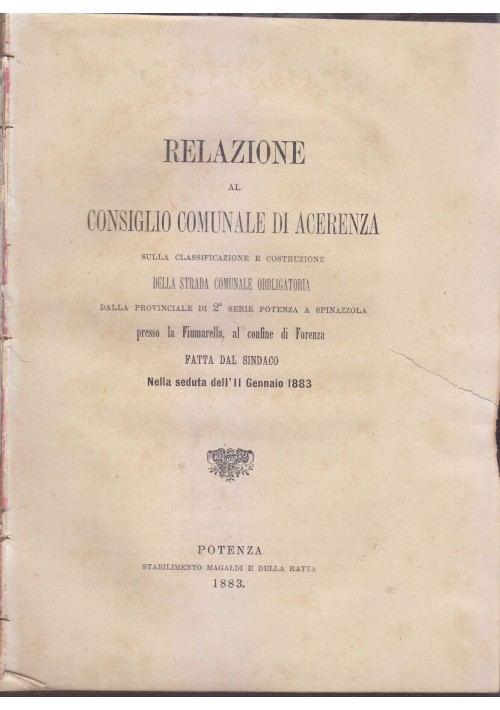 RELAZIONE al consiglio di Acerenza strada comunale Potenza Spinazzola 1883 Libro