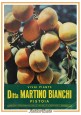 VIVAI PIANTE DITTA MARTINO BIANCHI catalogo Numero 105 settembre 1954 SATET